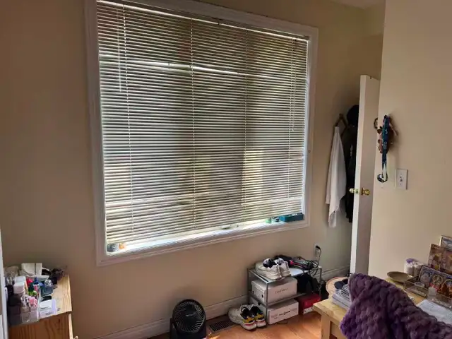 rooms for rent near York University