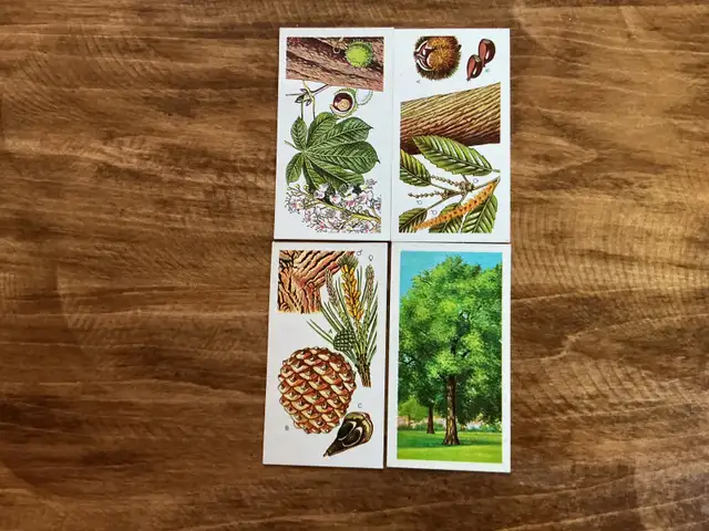 4. 1960 Brooke Bond Tea "TREES IN BRITAIN" Picture Cards !