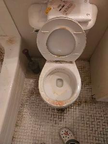 cleaning ladies - Photo 3
