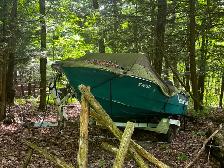 Boat with motor - Photo 3