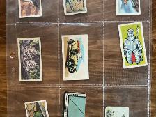 11. 1950’s-60’s Trading Cards Collection ! - Photo 3
