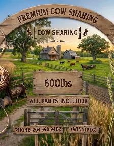 Cow Sharing