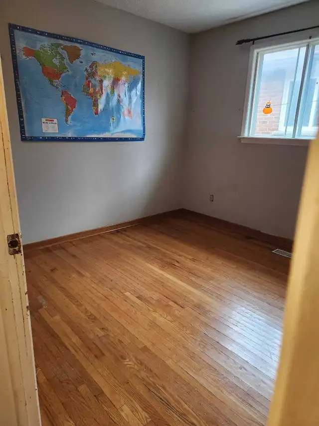 looking for roommate