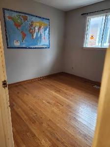 looking for roommate