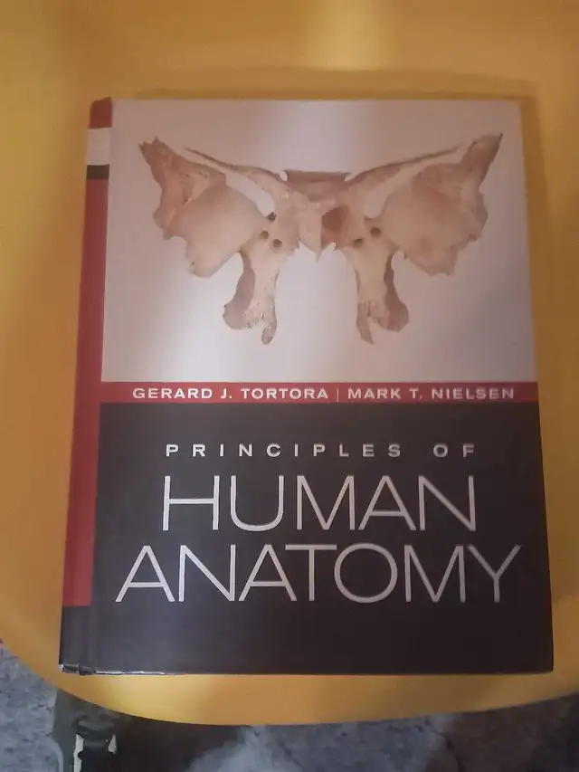 1st year Nursing text books