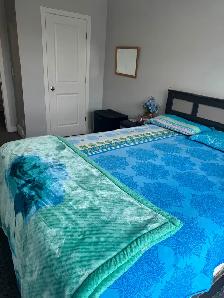 Room for rent savanna drive ne