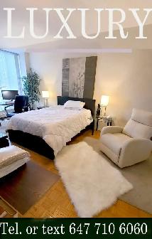 NORTH YORK HUGE ROOM RENTAL , MOVE IN SEPT. 1 ,2026 - Photo 9