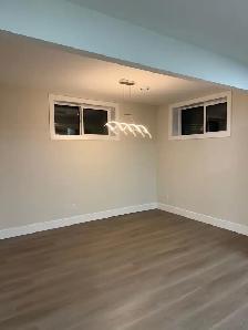 Need a really beautiful new 2 bedroom basement unit to rent?