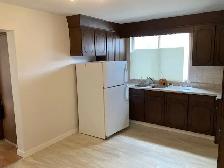 MUST SEE!! Clean 1BDRM near city centre - Photo 3