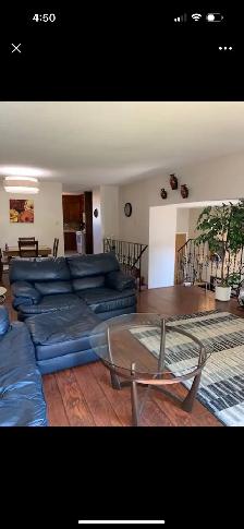 3 Bedroom main floor suite - Photo 10
