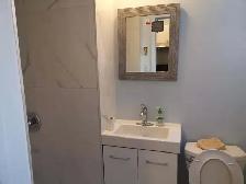 1 Bed Apt for Hwy 404/401(Sheppard/Pharmacy/Finch) Aug 1 - Photo 4