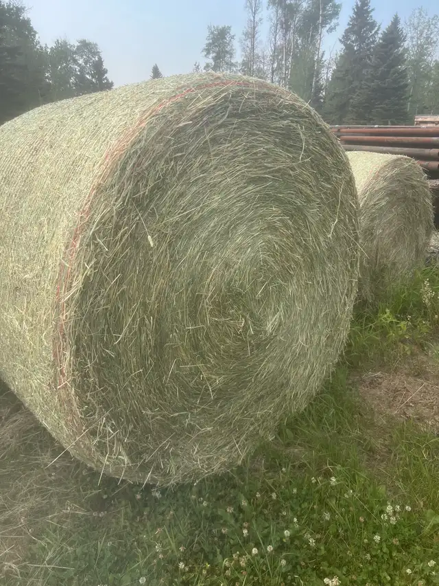Round Horse Hay bales