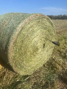 Round Horse Hay bales - Photo 2