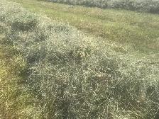 Round Horse Hay bales - Photo 3