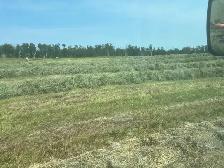 Round Horse Hay bales - Photo 6