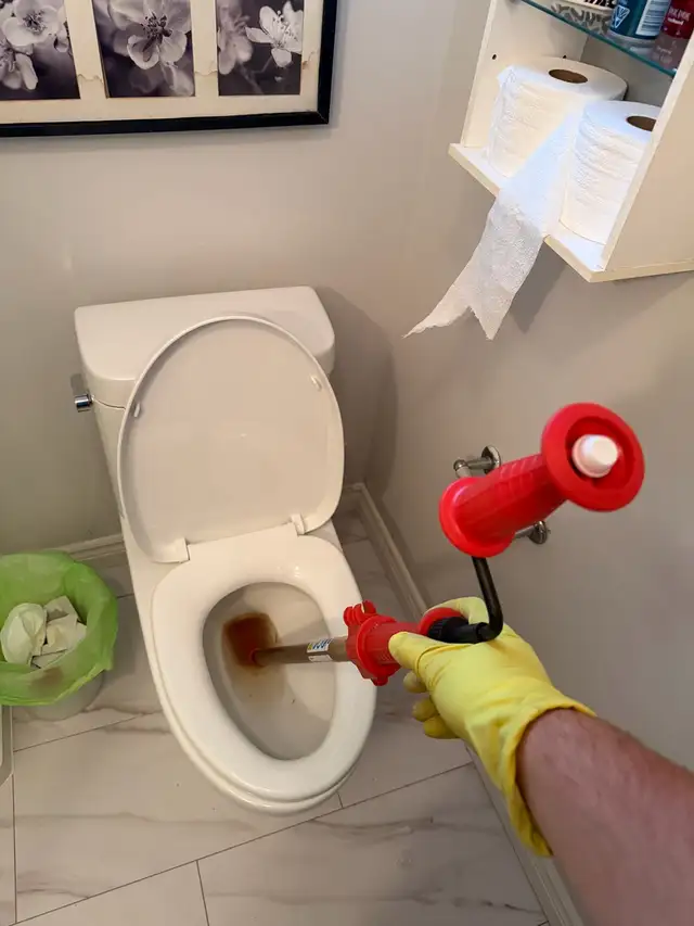 Snake toilet