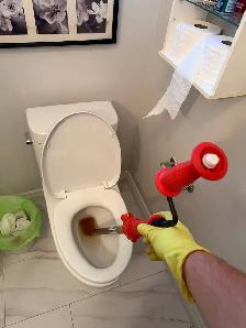 Snake toilet