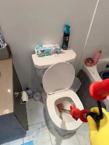 Snake toilet