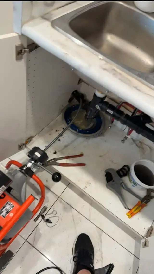 Snake kitchen