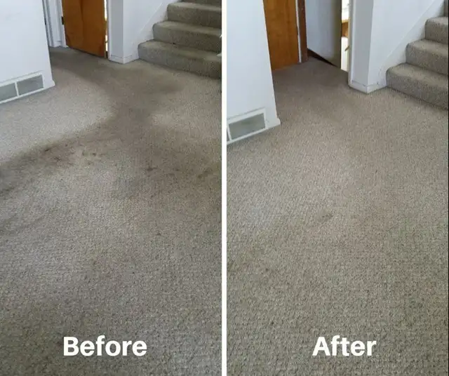 Fresh House Carpet,Rugs,Upholstery,Sofa_Cleaning