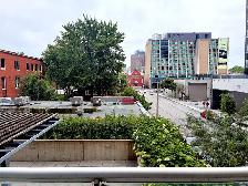 Furnished 1 Bed   Den | ByWard Market | Parking   All Utilities - Photo 9