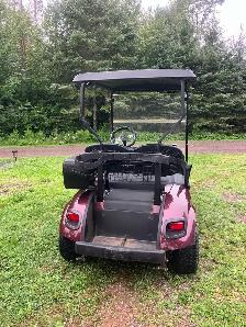 2018 Ezgo 48 volt Electric Golf Cart. - Photo 3