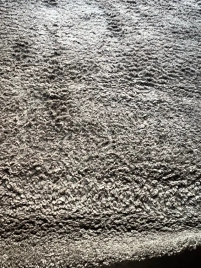 Area Rug for sale $25