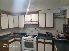 Large Basement Room for Rent – Western Mount AreaAvailable Sept - Photo 3