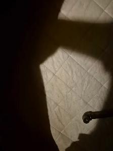 Single mattress and box spring