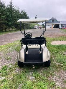 2019 Ezgo 48 Volt Electric Golf Cart - Photo 3