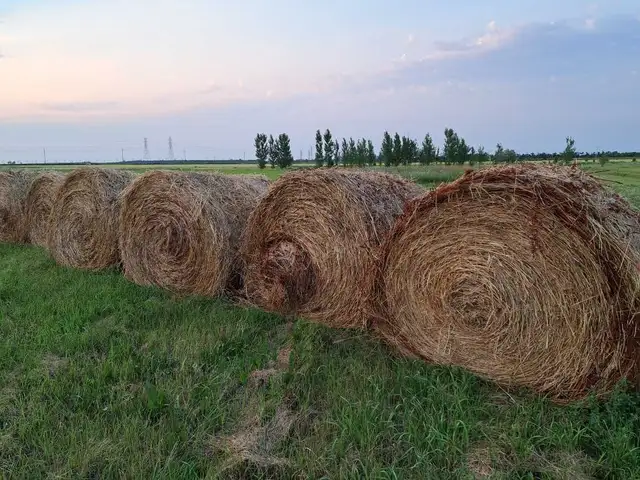 Round Bales