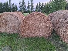 Round Bales - Photo 2