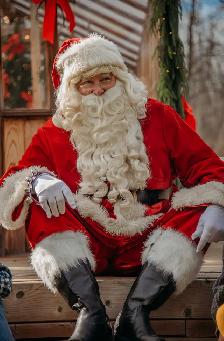 SANTA FOR HIRE!!!! - Photo 8