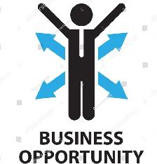 Business Opportunity in e-commerce