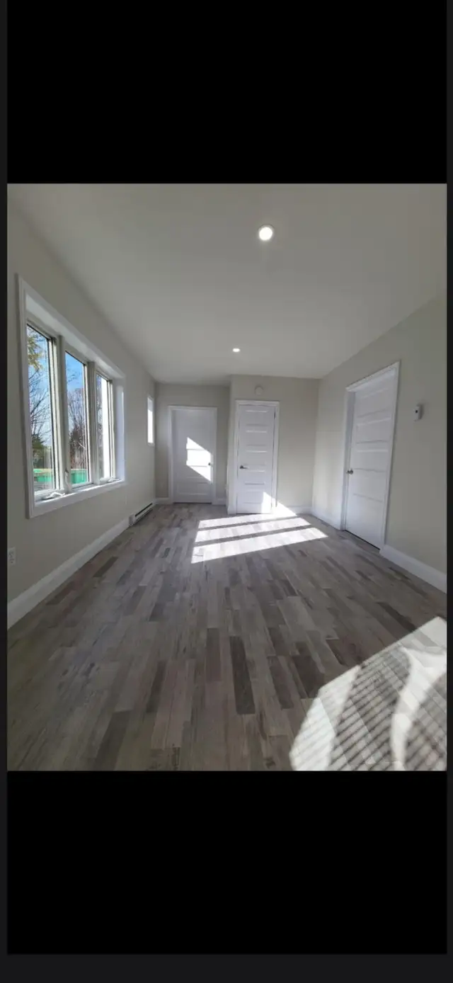4 1/2 animaux permis, sortie extérieure, vue et soleil!