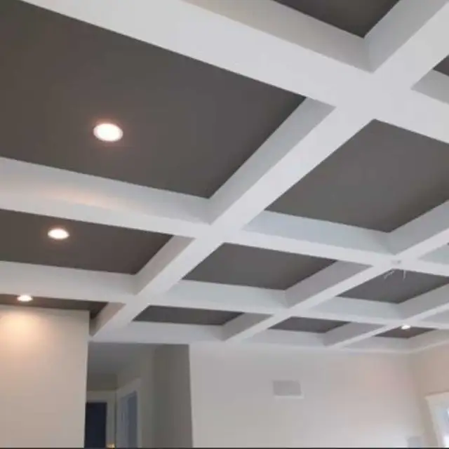 Professional Painters Available