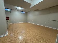 Basement - Photo 3