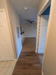 All-Inclusive ground floor one bedroom, one bath, one parking - Photo 8