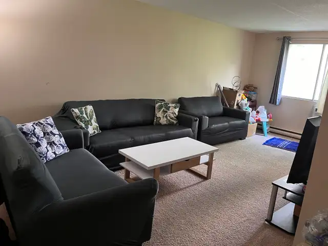 Two Bedroom Apartment for Sublet (Rent) Close to U of M