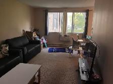 Two Bedroom Apartment for Sublet (Rent) Close to U of M - Photo 2