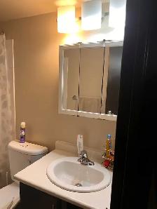 Two Bedroom Apartment for Sublet (Rent) Close to U of M - Photo 4