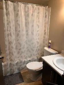Two Bedroom Apartment for Sublet (Rent) Close to U of M - Photo 5