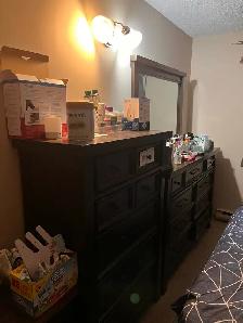 Two Bedroom Apartment for Sublet (Rent) Close to U of M - Photo 7