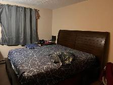 Two Bedroom Apartment for Sublet (Rent) Close to U of M - Photo 8