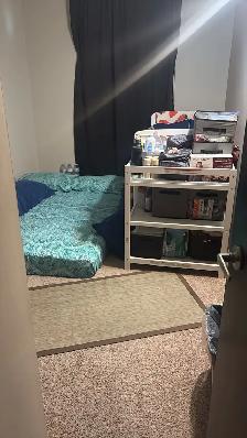 Two Bedroom Apartment for Sublet (Rent) Close to U of M - Photo 10