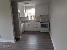 Two bedroom apartment  please call or text 647-722-5594 - Photo 2