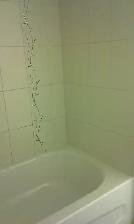 A few rooms near Mohawk in student house for student rent only - Photo 5