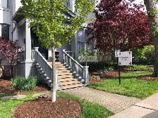 HAMILTON - STUNNING 2 BEDROOM - EXCLUSIVE DURAND AREA - Photo 2