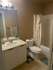 3-Bedroom Condo for Rent – Uptown Victoria, BC - Photo 8
