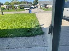 room for rent with parking - Photo 6